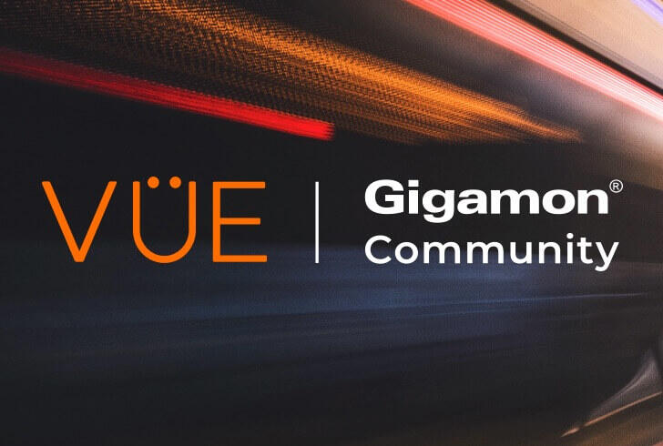 VUE Community